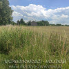 Działka Mszczonów
