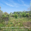 Działka Adamów-Parcel