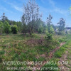 Działka Adamów-Parcel