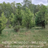 Działka Adamów-Parcel