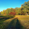 Działka Klaudyn