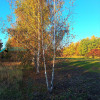 Działka Klaudyn