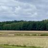 Działka Nowa Jastrząbka