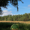 REZERWACJA Działka | sprzedaż | 53 a