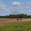 Staniszcze Wielkie – Działka 97 arów