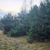 Dom Górnowola ul.  