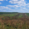 Miłków Kolonia. Działka budowlana 50 a. 179000 zł