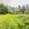 Mieszkanie Stachów ul.  