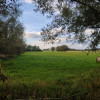 Działka Radziłów Okrasin