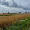 Działki budowlane w Żukowie