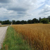Działki budowlane w Żukowie