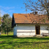Dom Dębica