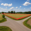 Działka Wagram
