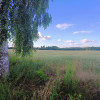 Działka Niesułków-Kolonia
