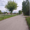 Działka Niesułków-Kolonia