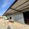 Lokal Siedlce