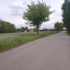 Działka Niesułków-Kolonia