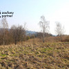 Działka Golkowice