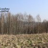 Działka Golkowice