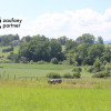 Działka Jankówka