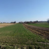 Działka Luborzyca