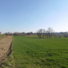 Działka Luborzyca
