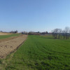 Działka Luborzyca