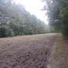 Działka Sobień