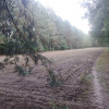 Działka Sobień
