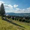 Zawoja - widokowa działka 1351 m2 , prąd, las