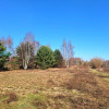 Działka Borzęcin Duży