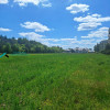 Działka Leszno
