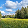 Działka Borzęcin Duży