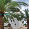 Mieszkanie Cala d'Or