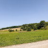 Działki o łącznej powirzchni 4,25 ha Joniny