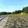 Działka Borzęcin Duży