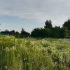 Działka Borzęcin Duży