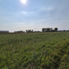 Działka Lublin Zemborzyce Górne ul. Marzanny