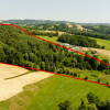 Działki o łącznej powirzchni 4,25 ha Joniny