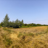Działka budowlana Tarnów, ul. Cedrowa
