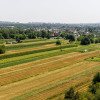 Działka budowlana Tarnów, ul. Cedrowa