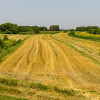 Działka budowlana Tarnów, ul. Cedrowa