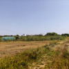 Działka budowlana Tarnów, ul. Cedrowa
