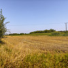 Działka budowlana Tarnów, ul. Cedrowa