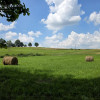 Działka Jodłowa