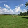 Działka Jodłowa