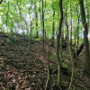 Działka Sitnica