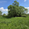 Działka Lubaszowa