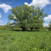 Działka Lubaszowa