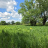 Działka Lubaszowa